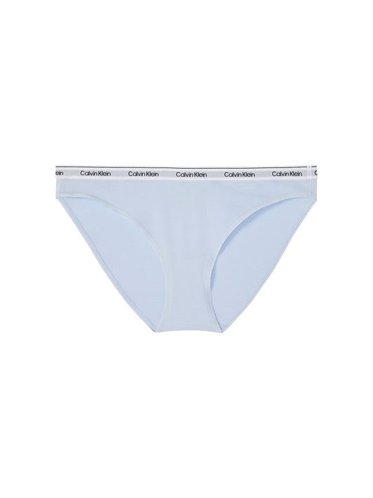 Icon Logo Brief Blue