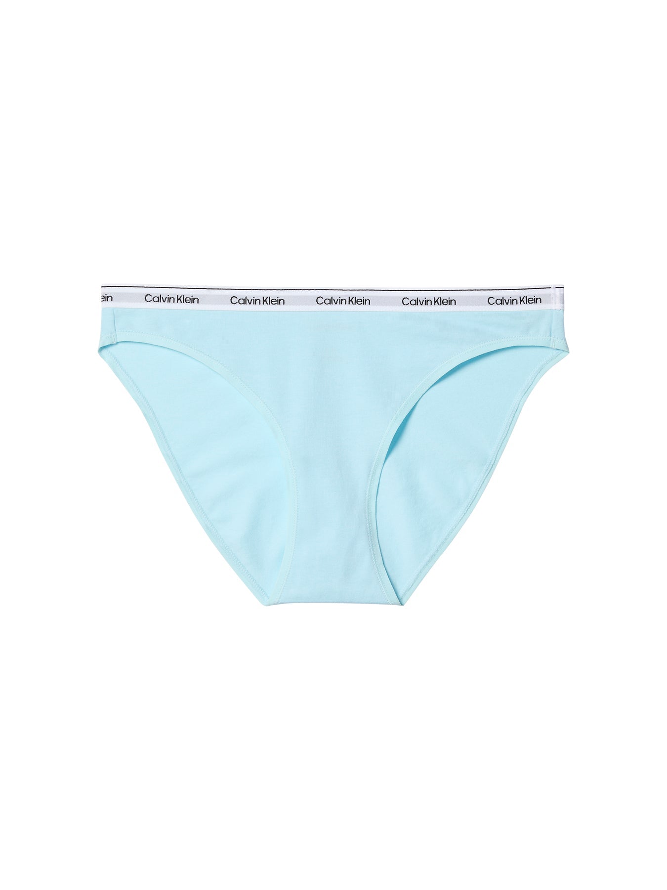 Icon Cotton Bikini Brief Blue